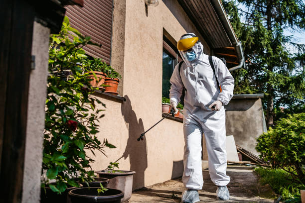 Best Termite Control Services  in Flourtown, PA