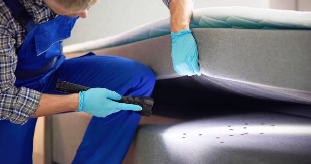 Best Residential Pest Control  in Flourtown, PA
